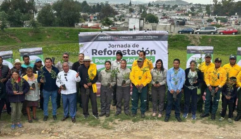 Reforestan el jagüey del barrio de La Preciosa en Amozoc