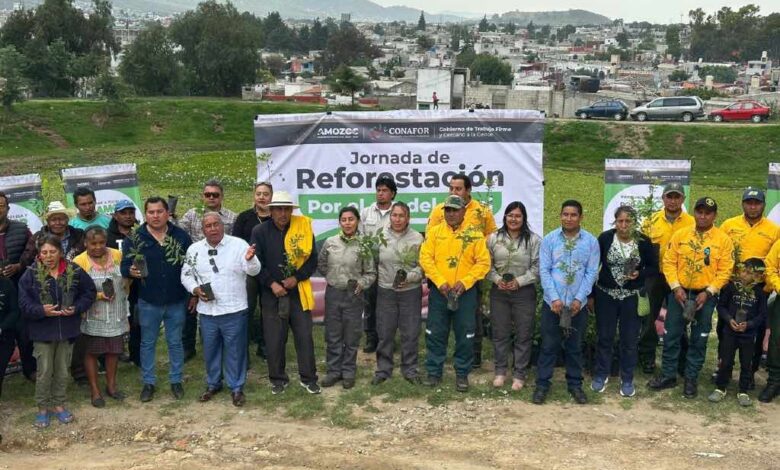 Reforestan el jagüey del barrio de La Preciosa en Amozoc