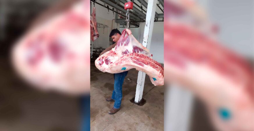 RASTRO DE TEXMELUCAN LABORA BAJO PROCEDIMIENTOS ESPECÍFICOS Y VERIFICACIONES DE DPRIS