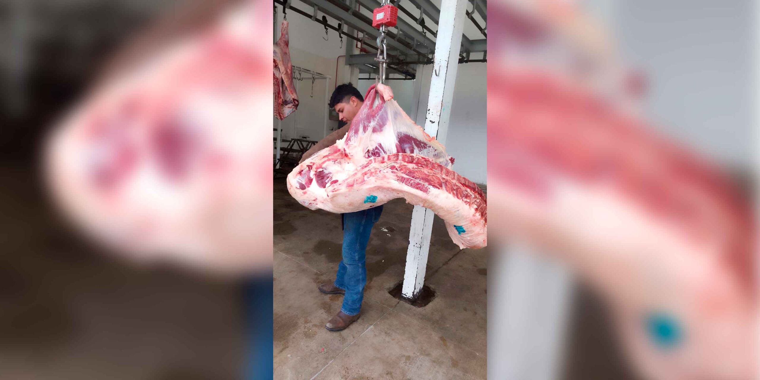 RASTRO DE TEXMELUCAN LABORA BAJO PROCEDIMIENTOS ESPECÍFICOS Y VERIFICACIONES DE DPRIS