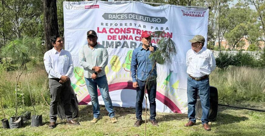 Gobierno de la Ciudad impulsa una Puebla más verde: 520 nuevos árboles para fortalecer nuestras áreas verdes