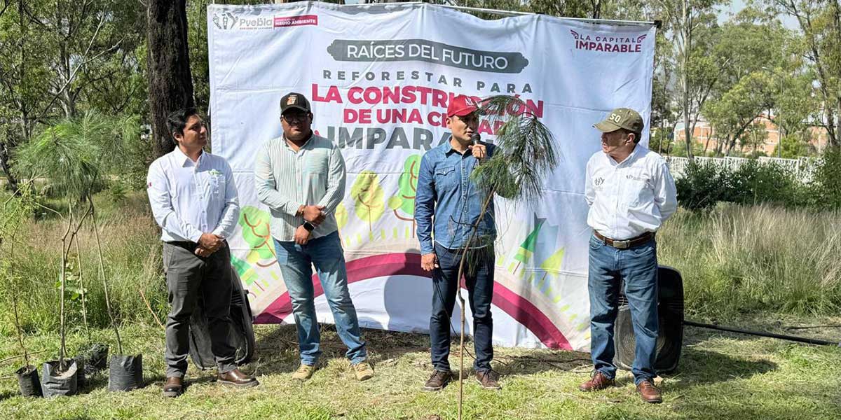 Gobierno de la Ciudad impulsa una Puebla más verde: 520 nuevos árboles para fortalecer nuestras áreas verdes