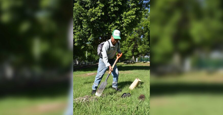Con la siembra de más de 15 mil árboles, Agua de Puebla culmina con éxito su Programa de Reforestación 2025 “Siembra Vida”