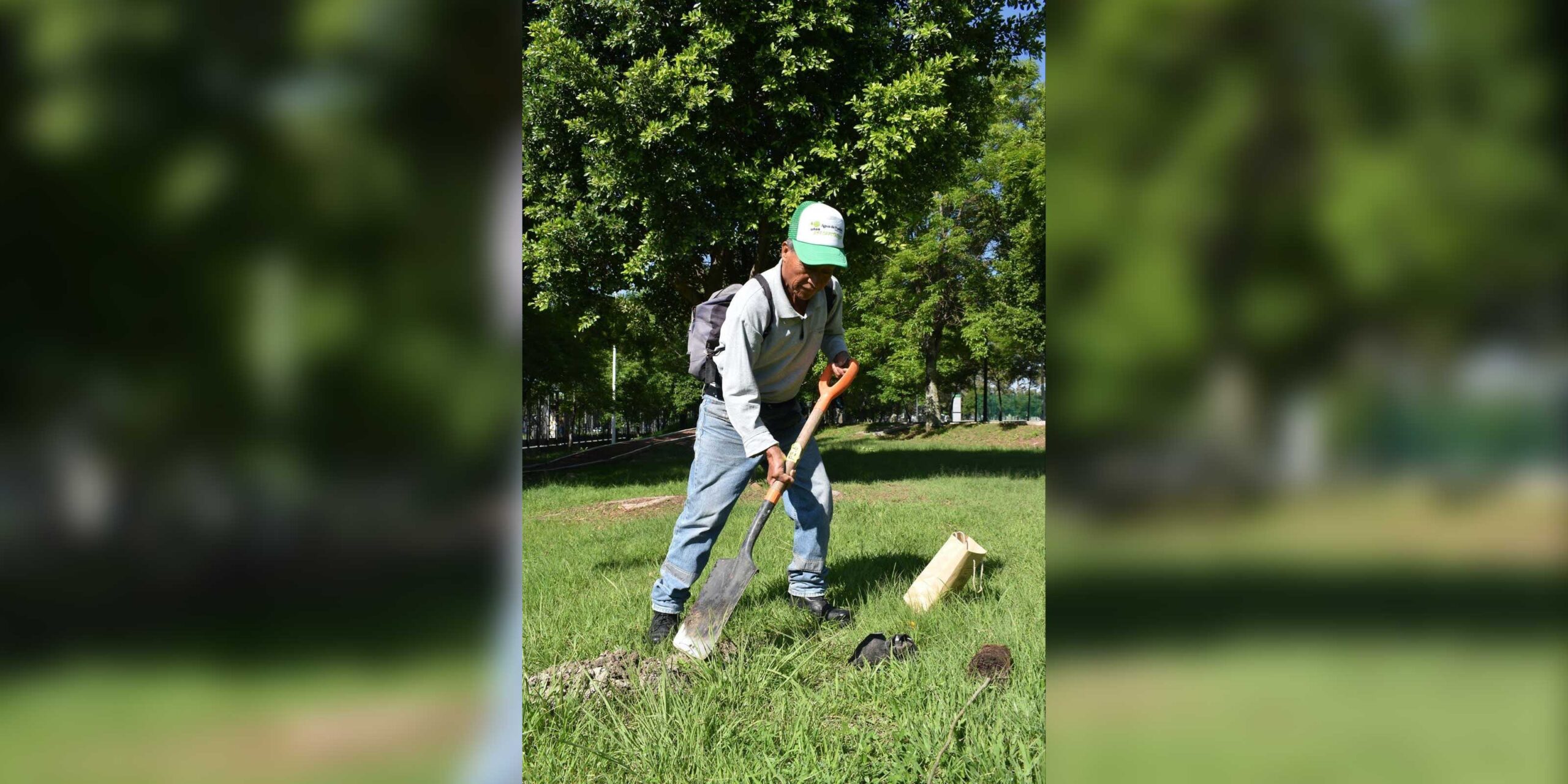Con la siembra de más de 15 mil árboles, Agua de Puebla culmina con éxito su Programa de Reforestación 2025 “Siembra Vida”