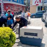 AESTROS DE LA REGIÓN DE IZÚCAR SE NIEGAN AL CAMBIO A TEPEXI; PIDEN INTERVENCIÓN URGENTE DE LA SEP Y EL CONGRESO