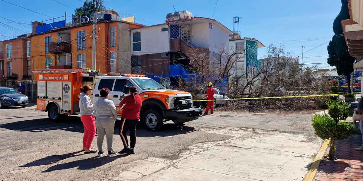 Atiende Protección Civil Municipal reportes de caída de árboles en diversas zonas de la ciudad