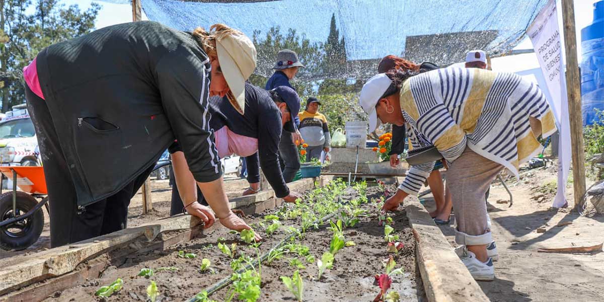 Con 100 mil pesos arrancan proyecto comunitario en Nopalucan: SEDIF