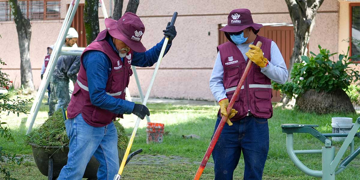 Inspecciona Pepe Chedraui labores de chapeo y rehabilitación en el parque Las Palmas