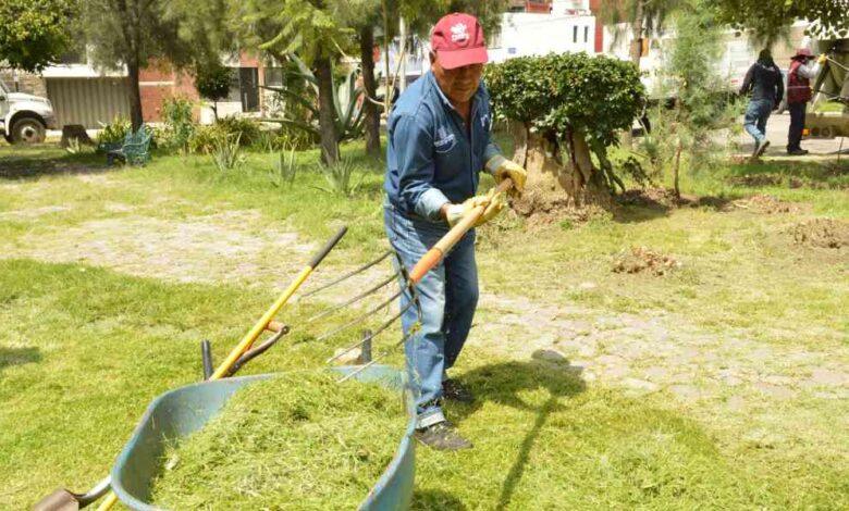 Inspecciona Pepe Chedraui labores de chapeo y rehabilitación en el parque Las Palmas