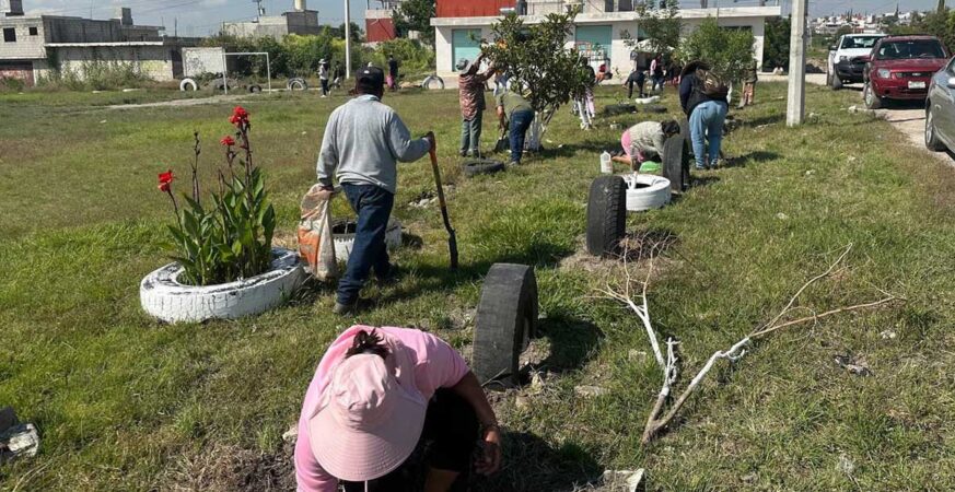 Fortalece Gobierno de la Ciudad acciones de reforestación con 2 mil 600 árboles gracias a Raíces del Futuro en el mes de octubre