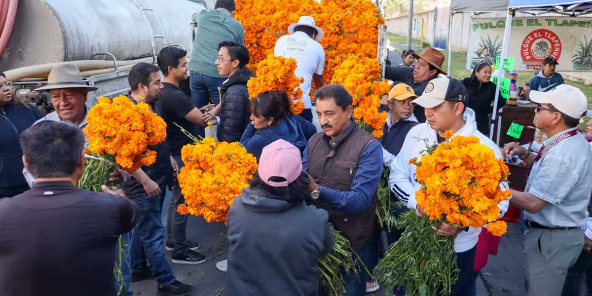Entrega Gobierno de Tonantzin Fernández flores en panteones municipales