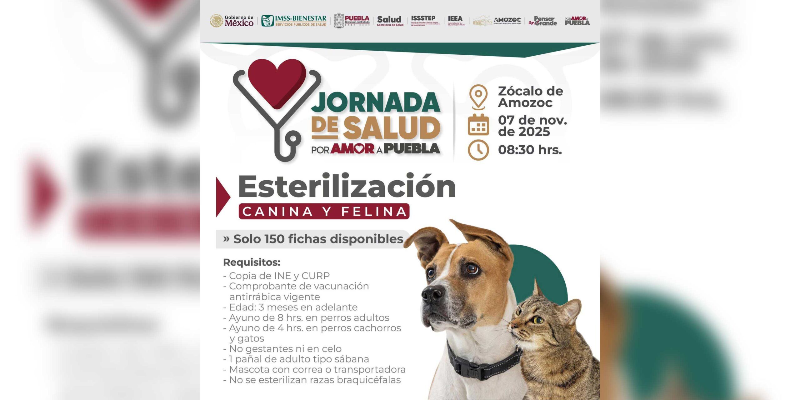 En Amozoc se llevará a cabo la próxima Jornada de Salud por Amor a Puebla