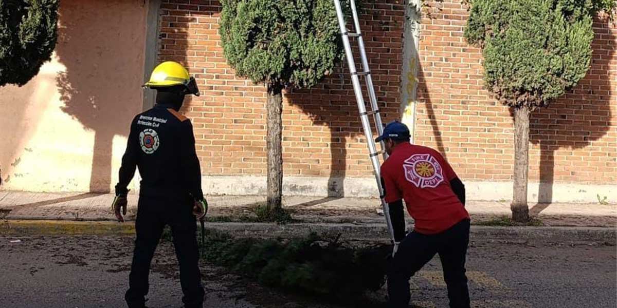 Gobierno de San Pedro Cholula responde ante afectaciones por el Frente Frío No. 13