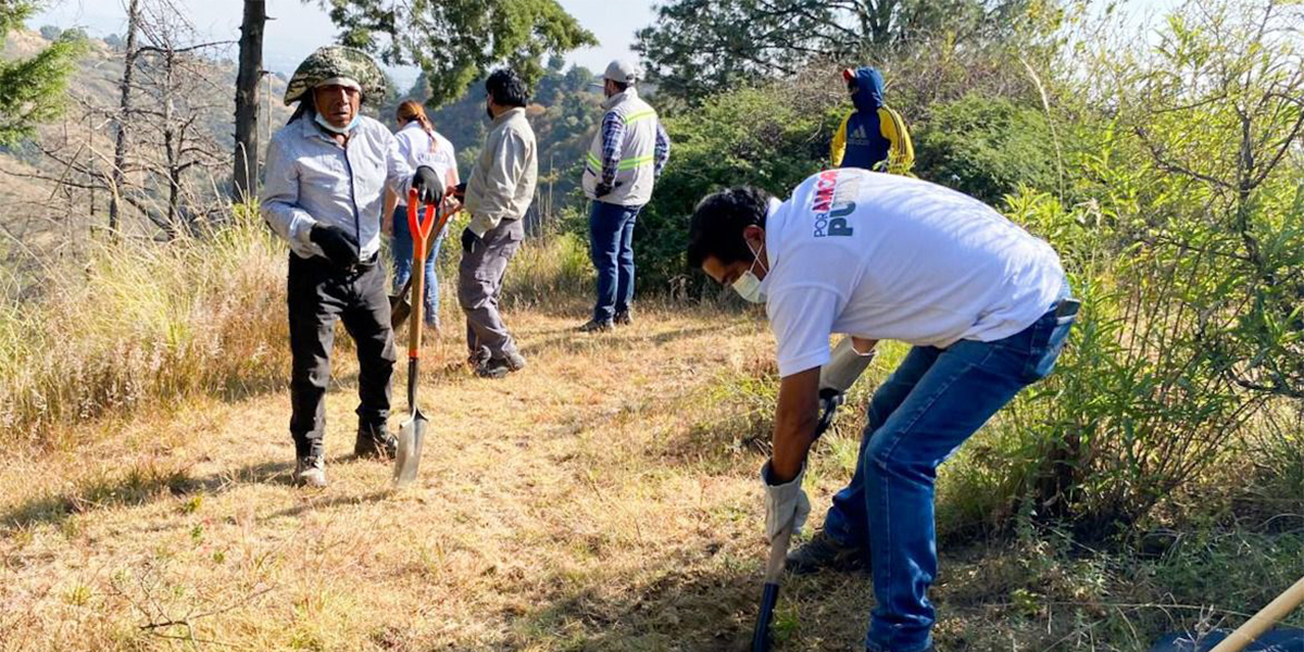 Participa CEASPUE en jornada de limpieza del Atoyac y reforestación en Domingo Arenas