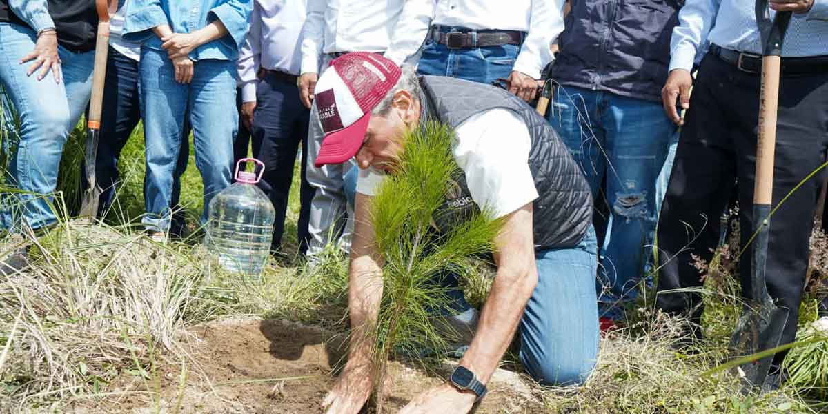 Fortalece Gobierno de la Ciudad agenda en favor de las poblanas con Secretaría de las Mujeres