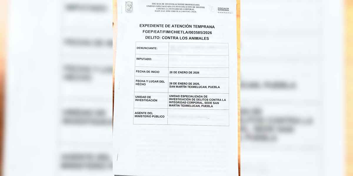 PRESENTÓ BIENESTAR ANIMAL DE TEXMELUCAN DENUNCIA POR CASO DE MALTRATO DE SERES SINTIENTES