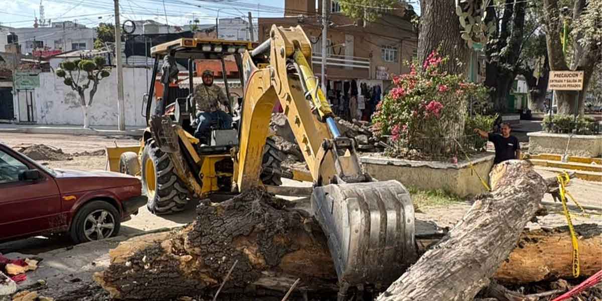 ATENDIÓ PROTECCIÓN CIVIL DE TEXMELUCAN REPORTE DE CAÍDA DE RAMA DE ÁRBOL EN CARRIL DE SAN MIGUEL
