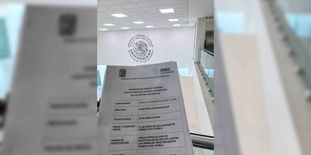 Aprehendió la FGE a presunto integrante de la célula delictiva “Familia Michoacana”,  acusado de asalto y homicidio en taquería de Amozoc, Puebla