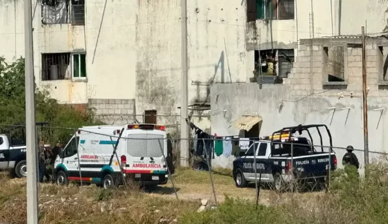 Resultados de búsqueda para: Incidente en Santiago Momoxpan: SSC Cholula repele agresión y detiene a masculino