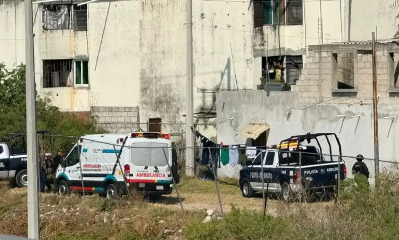 Resultados de búsqueda para: Incidente en Santiago Momoxpan: SSC Cholula repele agresión y detiene a masculino