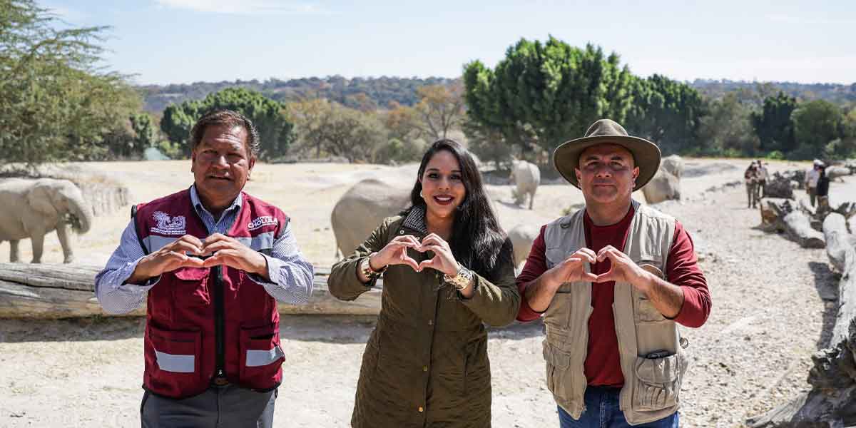 Entrega Tonantzin Fernández 270 árboles navideños naturales a Africam Safari