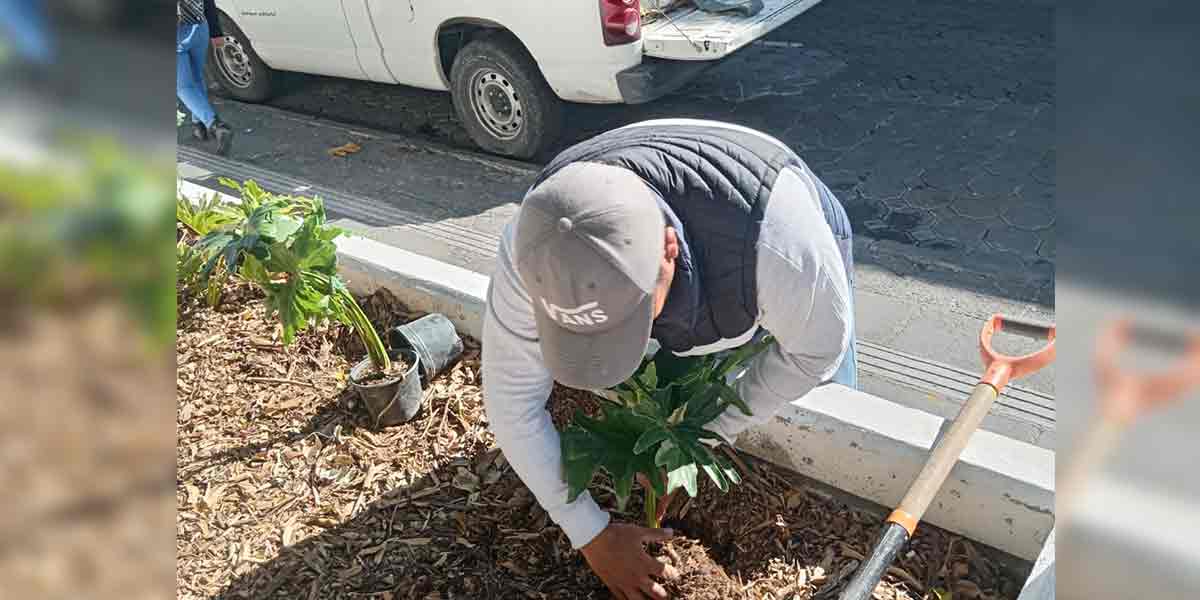 Refuerza Agua de Puebla reparación de fugas de agua potable, ante el aumento de presión en tuberías