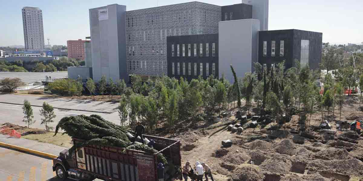 INICIA REFORESTACIÓN URBANA EN CIS Y PARQUE ECOLÓGICO; LA META SON 10 MIL ÁRBOLES
