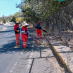 Encabeza Pepe Chedraui jornada de bienestar animal en la Inspectoría de Guadalupe Hidalgo
