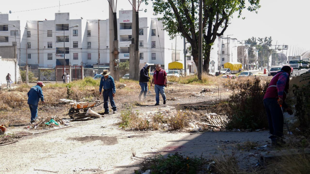 Interviene Gobierno de Pepe Chedraui más de 460 mil metros cuadrados con poda y chapeo en 2026