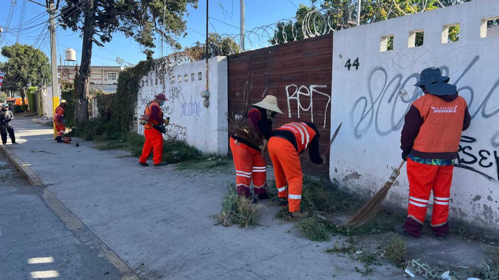 Refuerza Gobierno de Pepe Chedraui limpieza integral en accesos principales de la ciudad