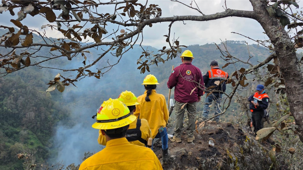 Armenta intensifica combate contra incendios forestales