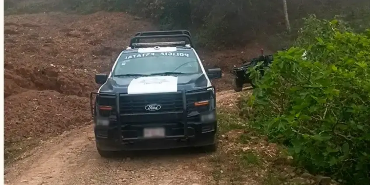 Golpe al crimen en Puebla: SSP y FGR desmantelan plantío de amapola en Zoquitlán