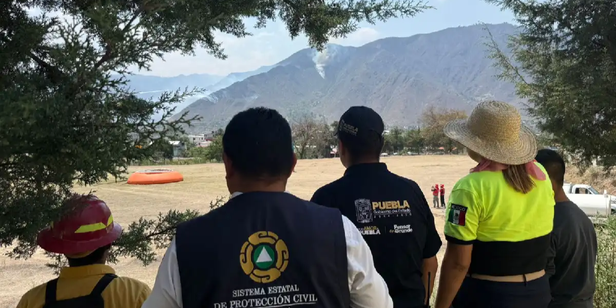 Incendio forestal en Zautla afecta 65 hectáreas de bosque
