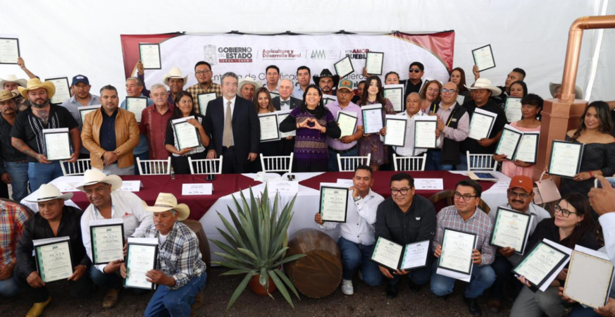 Puebla consolida liderazgo nacional en producción de mezcal con 91 medallas