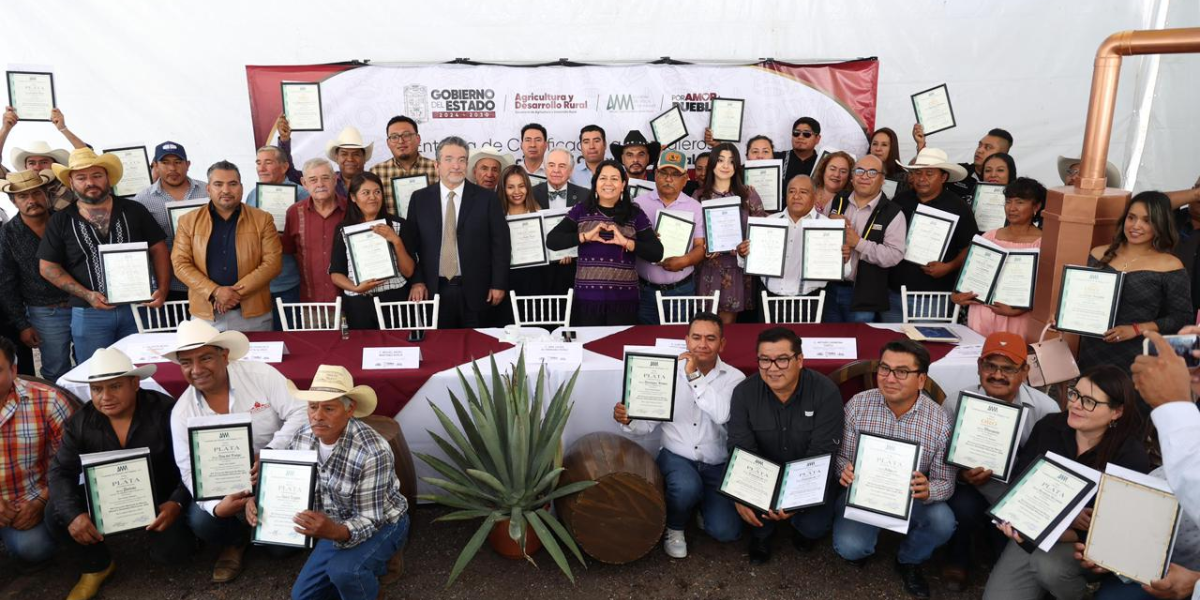 Puebla consolida liderazgo nacional en producción de mezcal con 91 medallas