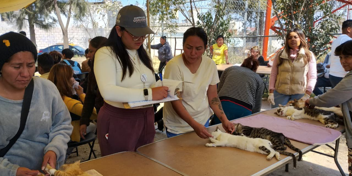 Fortalece Gobierno de Pepe Chedraui la mejora de servicios mediante verificaciones ciudadanas
