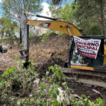 ENTREGÓ GOBIERNO DE TEXMELUCAN 300 ÁRBOLES PARA REFORESTAR EL CENTRO ESCOLAR GENERAL RAFAEL ÁVILA CAMACHO