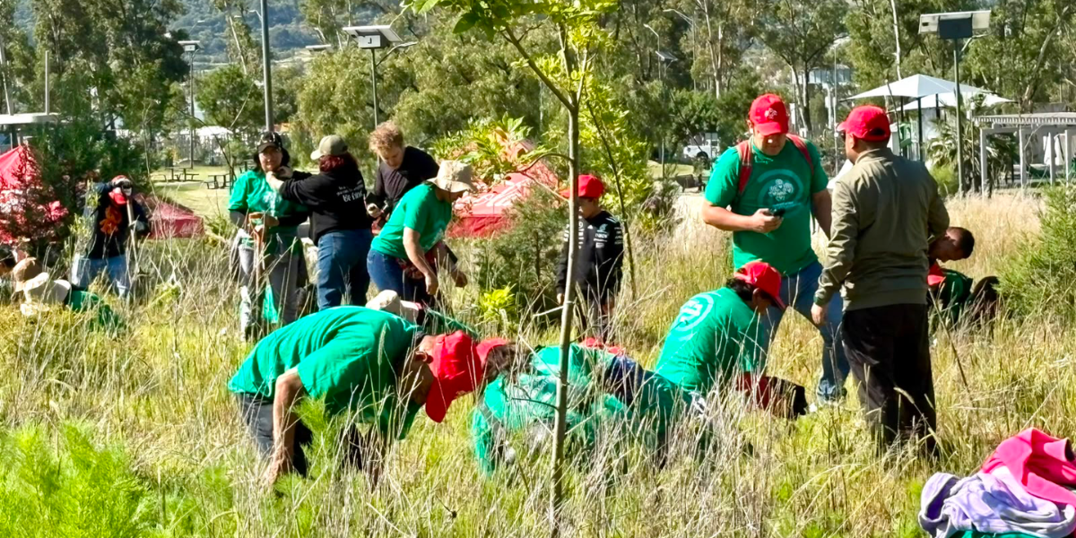 Impulsa Gobierno de Pepe Chedraui restauración del Cerro de Amalucan con “Raíces del Futuro”
