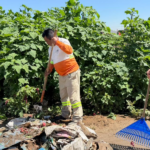 SUBESTACIÓN ELÉCTRICA ASEGURA DESARROLLO INDUSTRIAL EN SAN JOSÉ CHIAPA: ARMENTA MIER