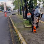 CENTROS LIBRE CASAS CARMEN SERDÁN, RED DE PROTECCIÓN Y AUTONOMÍA PARA MUJERES SERRANAS