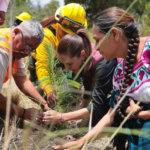 Avanza Pepe Chedraui con acciones de bacheo en calles de Los Pinos Mayorazgo