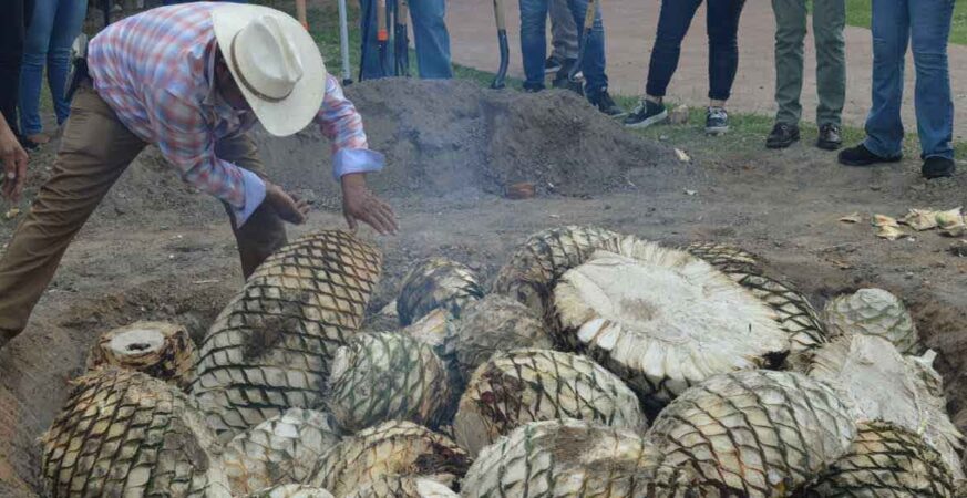PUEBLA SE PREPARA PARA EL ENCUENTRO NACIONAL DEL MEZCAL; ESPERAN MÁS DE 40 MIL VISITANTES