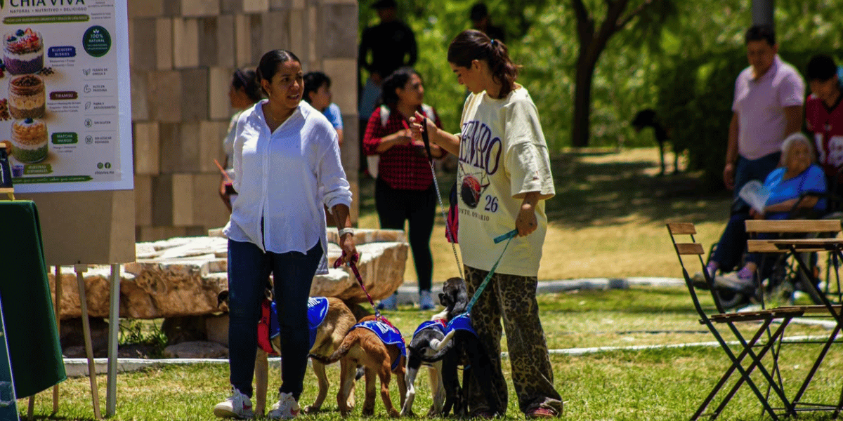 Gobierno del Estado fomenta el bienestar con segunda edición de Adopta Fest